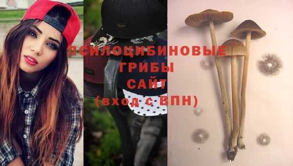 эйфоретик Рославль