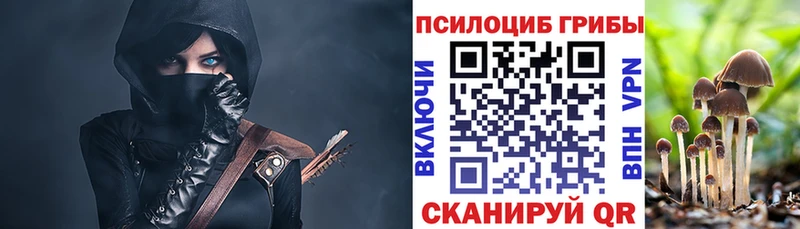 Псилоцибиновые грибы MAGIC MUSHROOMS  OMG ссылка  даркнет клад  Коряжма 