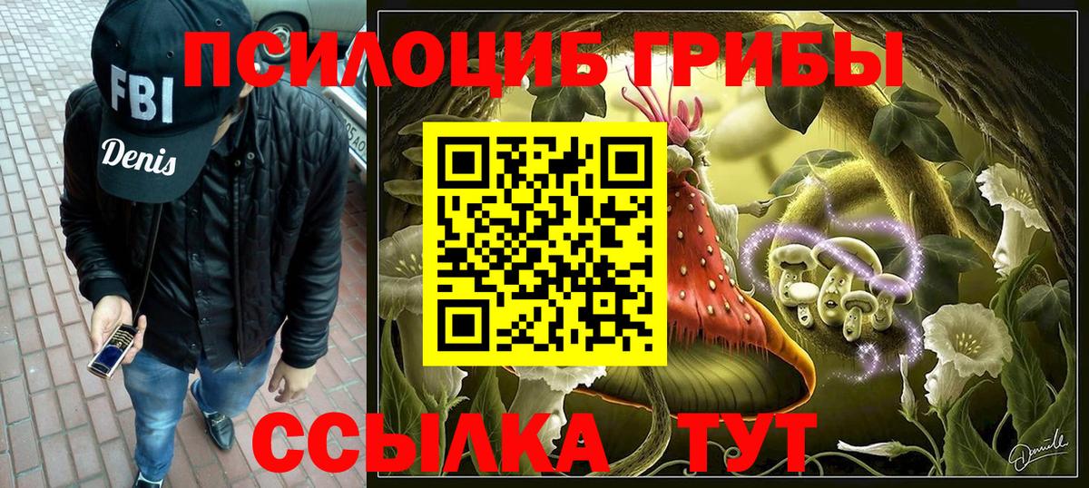 Коряжма  Галлюциногенные грибы мухоморы  наркотики  Вход с VPN 